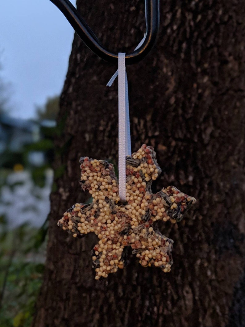 May include: A snowflake-shaped bird feeder made of birdseed and held together with a clear gel. The feeder is hanging from a tree branch with a white ribbon.