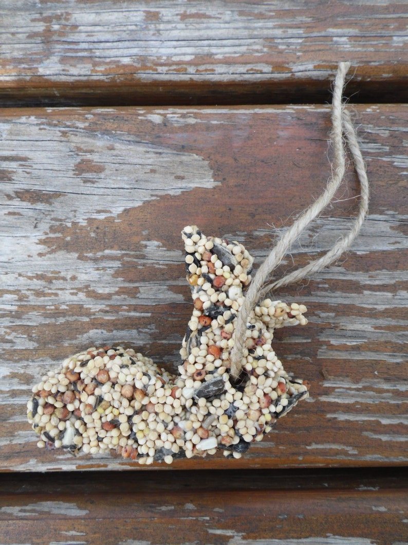 Squirrel Shaped Wild Bird Seed Bird Feeder Ornament Set of 4 Etsy
