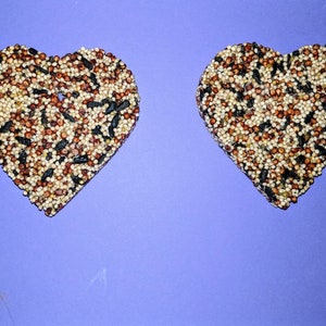 Wild Bird Seed Bird Feeder Ornament Feeder- Large Heart- Valentine&#39;s Day - mother&#39;s day