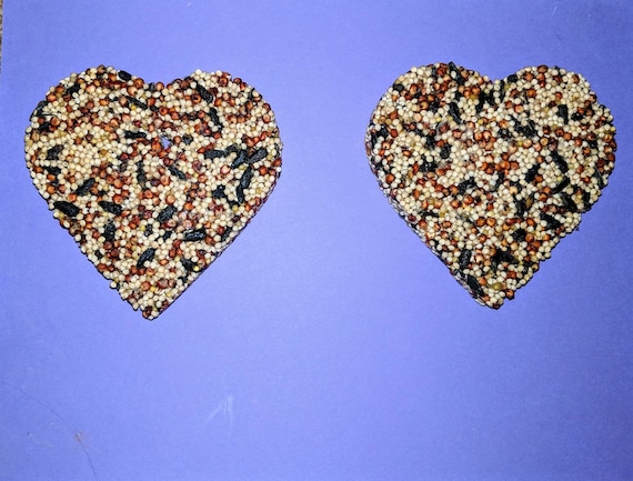 Wild Bird Seed Bird Feeder Ornament Feeder Large Heart Etsy