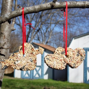 Love Struck Heart- Wild Bird Seed Bird Feeder Ornaments- Set of 4