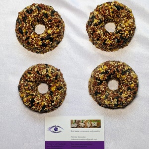 Wild Bird Seed Bird Feeder Mini Wreaths - Set of 4
