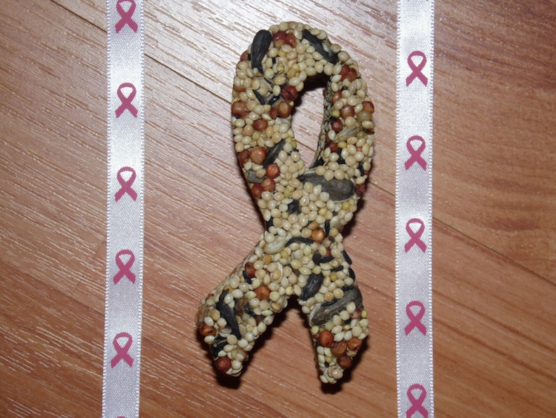 Op de afbeelding: Een vogelvoer traktatie in de vorm van een roze lint, gemaakt van diverse zaden en granen. Twee witte linten met roze lint afbeeldingen flankeren de traktatie. De achtergrond is een lichtbruin houten oppervlak.