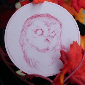 Sticker vinyl uil 3 x 3 inch | Sticker dieren in het wild | Nachtelijke sticker | Waterdichte sticker dieren