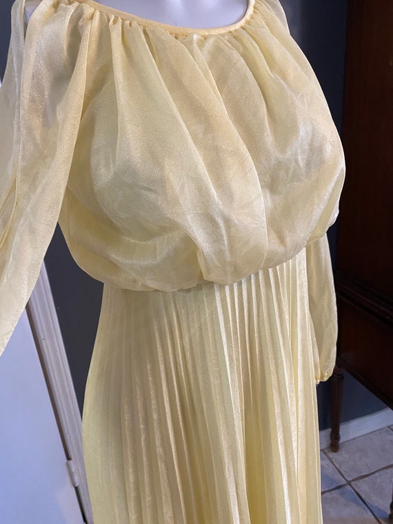 Vintage 70s light yellow pleated maxi dress flora… - image 5