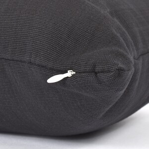 May include: Black pillow with a zipper closure. The zipper pull is white plastic.