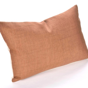 Rust brown, natural organic dye cushion, tribal ethnic pillow, Hmong hilltribe 22 inch lumbar, handwoven cotton, PP86
