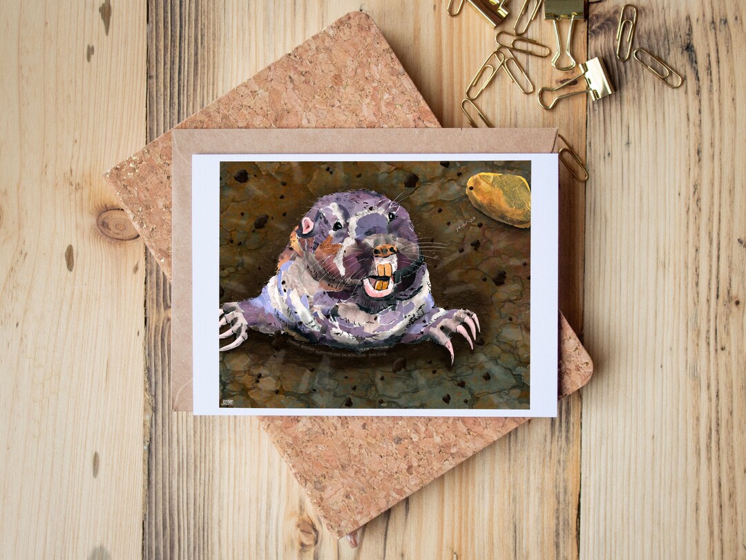 Pocket Gopher Greeting Card: Yellowstone Mixed Media Collage - Etsy