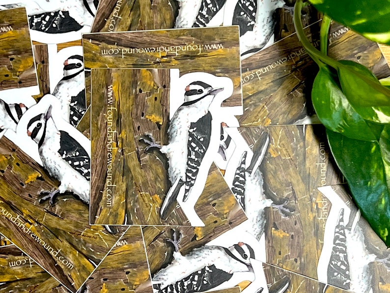 Lfm Sticker Hairy Woodpecker Sticker - 3