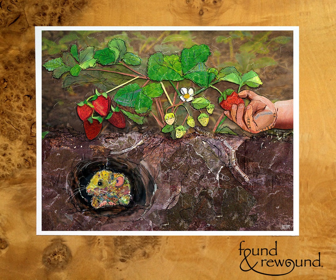 Strawberry Picking Art Print: Child's Hand, Vole in Burrow (8x10) - Etsy