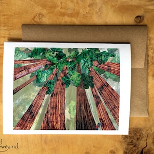 SOUTIENT LA CHARITÉ - Carte de voeux d'un routard regardant dans la canopée des séquoias - Amoureux de la nature - Forêt - Carte vierge