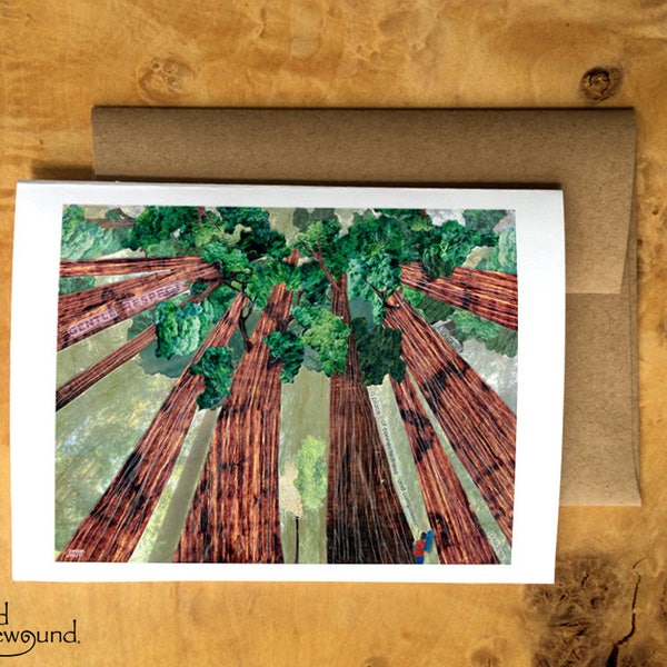 Greeting Card of a Backpacker Looking Up into the Canopy of the Redwoods - Anytime -Nature Lover - Forest - Blank Card