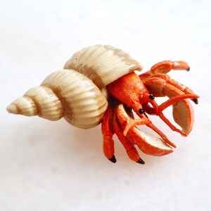Figurine Crabe Papo - Modèle Réaliste Peint à La Main | Jouet Éducatif Marin 8cm