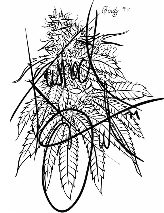Cindy 99 OG Cannabis Drawing Kush Art Cannabis Art | Etsy