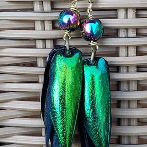 Jewel beetle wing earrings, emerald green, irridescent, beads, rainbow hematite beads nature jewelry, elytra, long earrings image 4