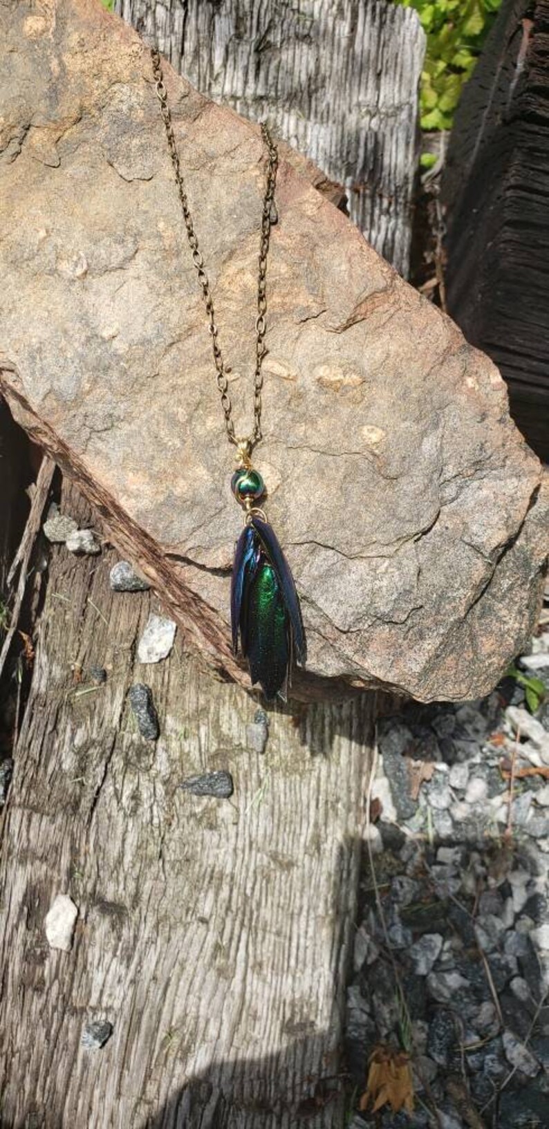 Beetle wing, emerald green, antique brass, necklace, natural, insect, irridescent, jewel beetle, necklace, pendant, transformation image 6