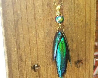 Beetle wing, emerald green, antique brass, necklace, natural, insect, irridescent, jewel beetle, necklace, pendant, transformation