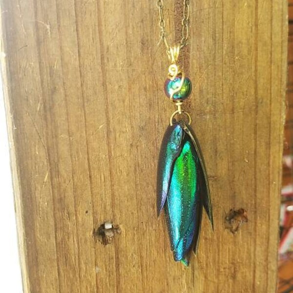 Beetle wing, emerald green, antique brass, necklace, natural, insect, irridescent, jewel beetle, necklace, pendant, transformation