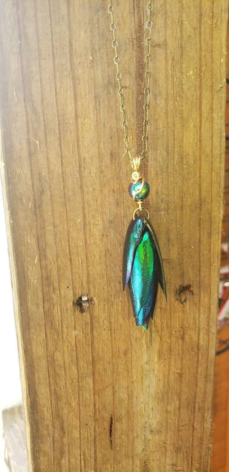 Beetle wing, emerald green, antique brass, necklace, natural, insect, irridescent, jewel beetle, necklace, pendant, transformation image 1