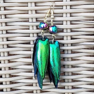 Jewel beetle wing earrings, emerald green, irridescent, beads, rainbow hematite beads nature jewelry, elytra, long earrings image 1