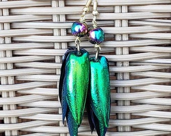 Jewel beetle wing earrings, emerald green, irridescent,  beads,  rainbow hematite beads nature jewelry, elytra,  long earrings