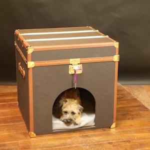 Brown canvas Doghouse or cathouse trunk