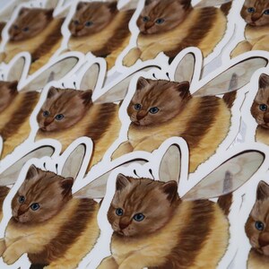 bumble cat - stickers