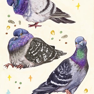 Pigeons - Fine Art Print
