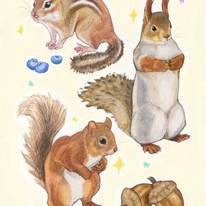 Squirrels - Fine Art Print
