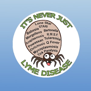 Sticker ~ It&#39;s Never Just Lyme ~ Lyme & Co-infection Awareness, Babesia, Bartonella, Rock Mountain Spotted Fever, Ehrlichiosis, Q Fever