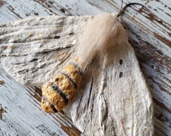 Spuncotton Moth Decoration