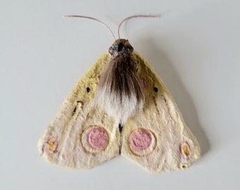 Spuncotton Moth Decoration