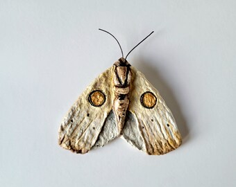 Spuncotton Moth Decoration