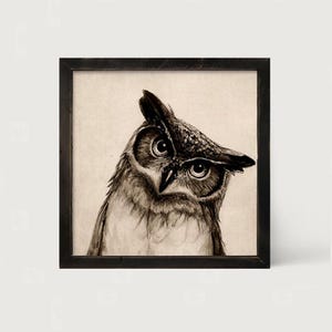 May include: A square framed wall art piece featuring a detailed charcoal sketch of an owl with large, expressive eyes and tufted ears. The drawing is rendered in shades of black and gray on a light, textured off-white background, enclosed in a dark wood frame.