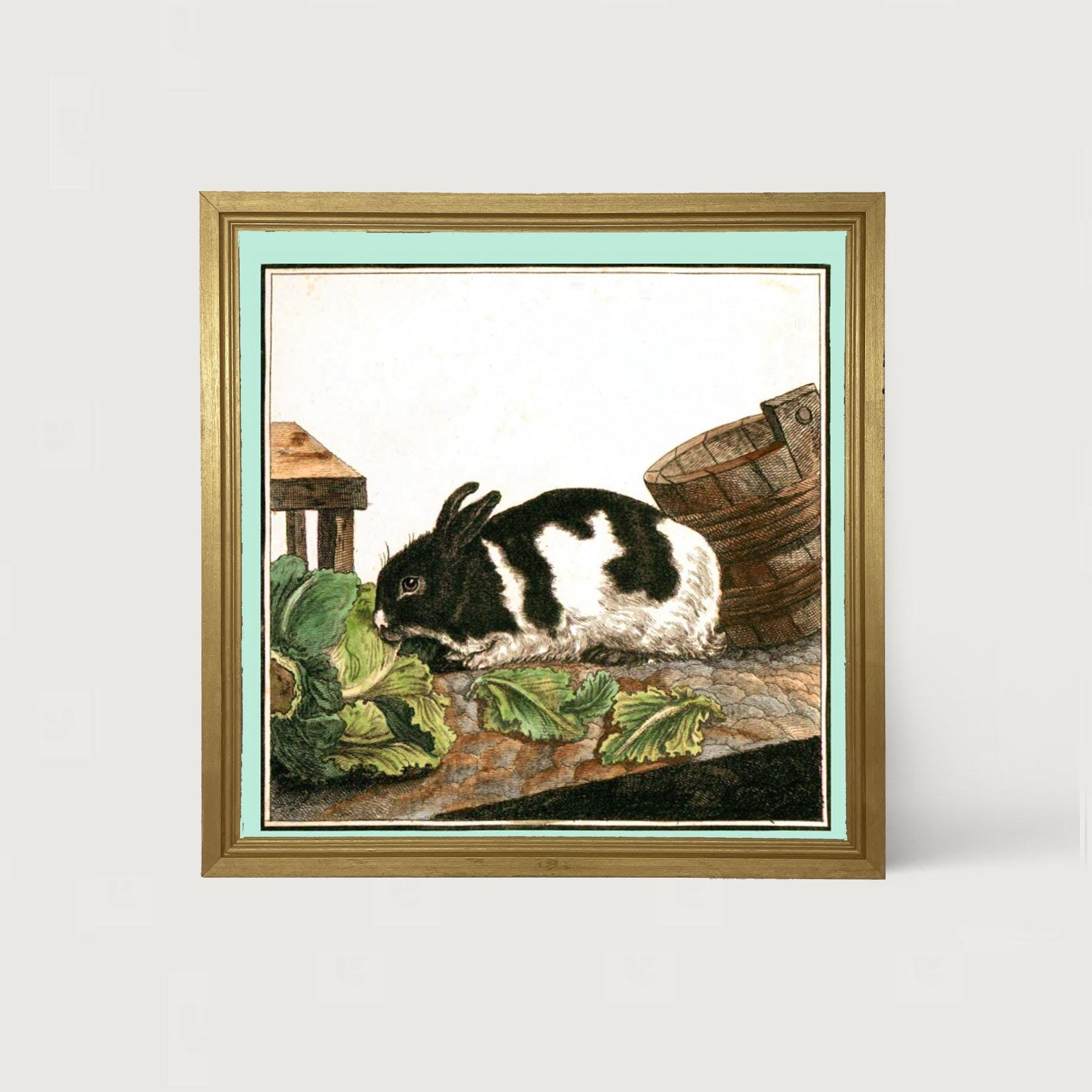 Vintage Black & White Bunny: [framed Print] Hare Art Vintage and