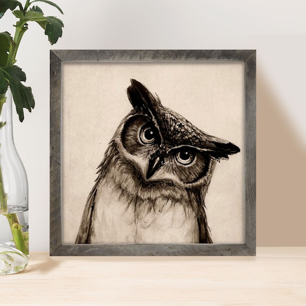 Owl - Pen and Ink: [Framed Print] Beautiful curious owl, perfect for those trying to create a whimsical harry potter home!