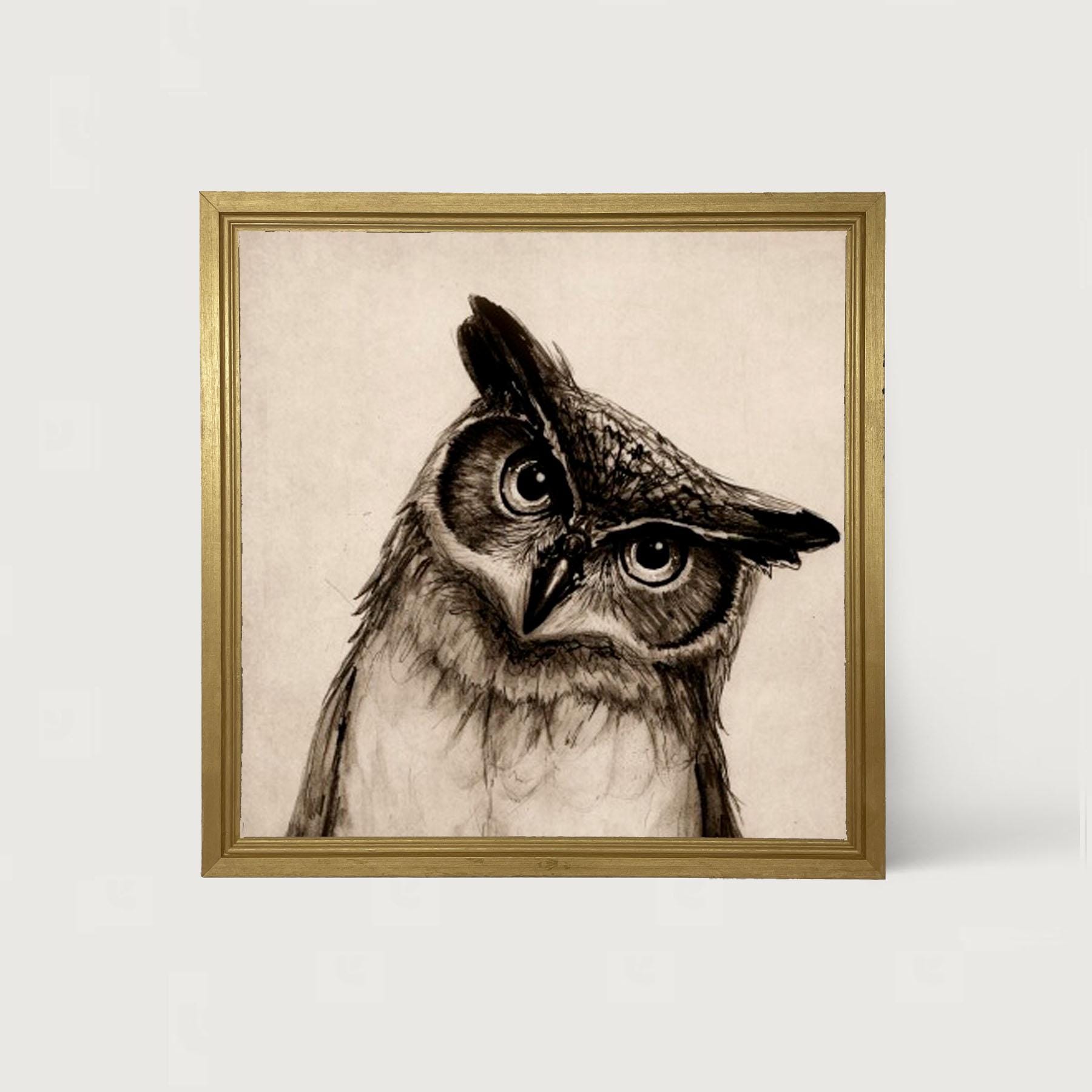Owl - Pen and Ink: [Framed Print] Beautiful curious owl, perfect for those trying to create a whimsi
