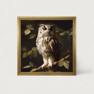 Gray and White Owl: [Framed Print] This captivating piece of art introduces a serene woodland ambiance to any room!