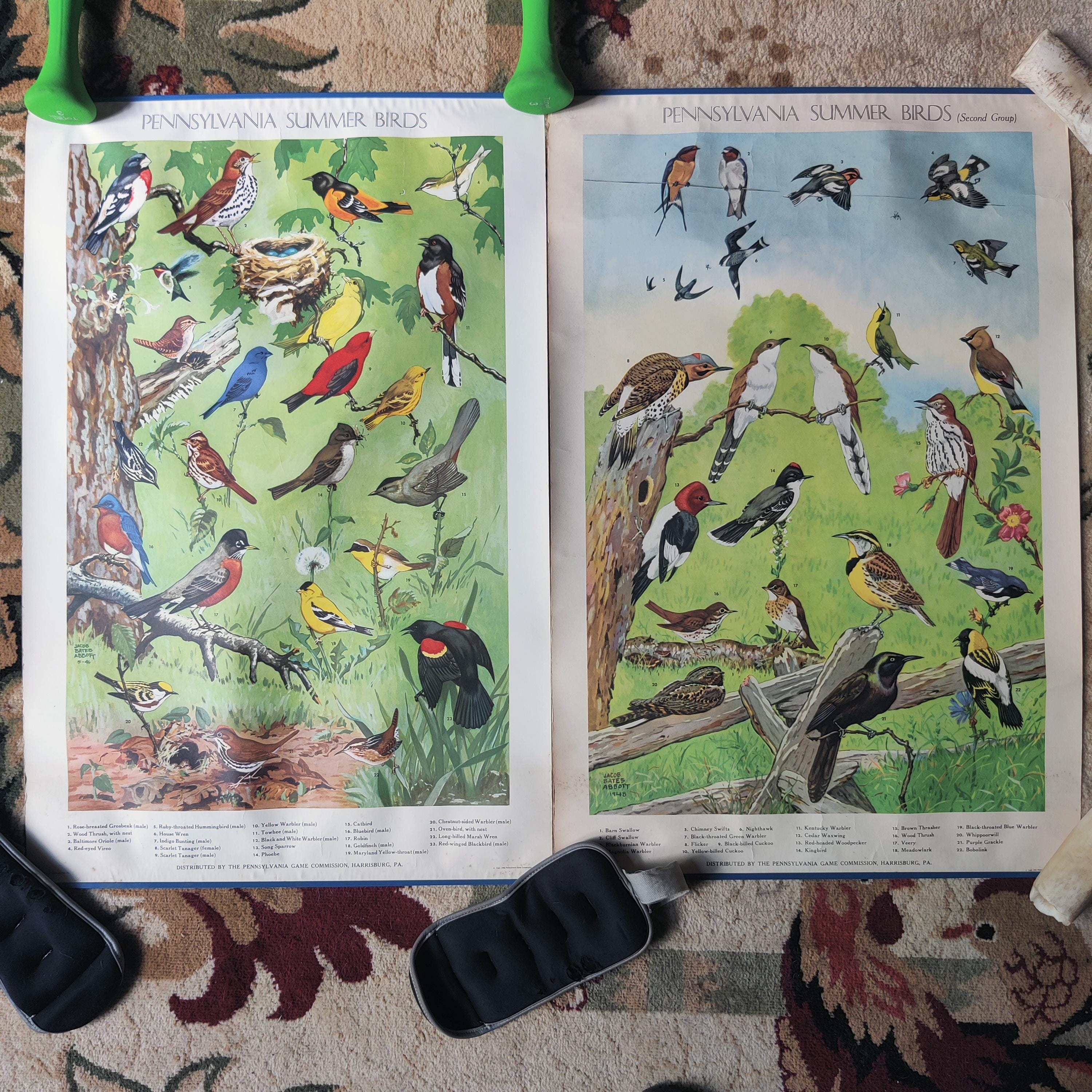 Pennsylvania Summer Birds Prints Posters 1st 2nd Jacob Bates Abbott Set of Two 1946 1951 PA Game Commission