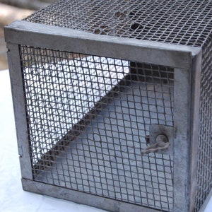 Vintage Bait Cage 