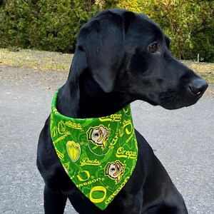 Pañuelo para perro con el logo de la Universidad de Oregón, con broches, patos, UO, piezas de Elysses, varios tamaños.