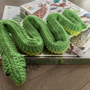 May include: A green crocheted snake toy on top of two books. The books are titled "DK Smithsonian Book of Earth" and "DK Smithsonian's Nature".