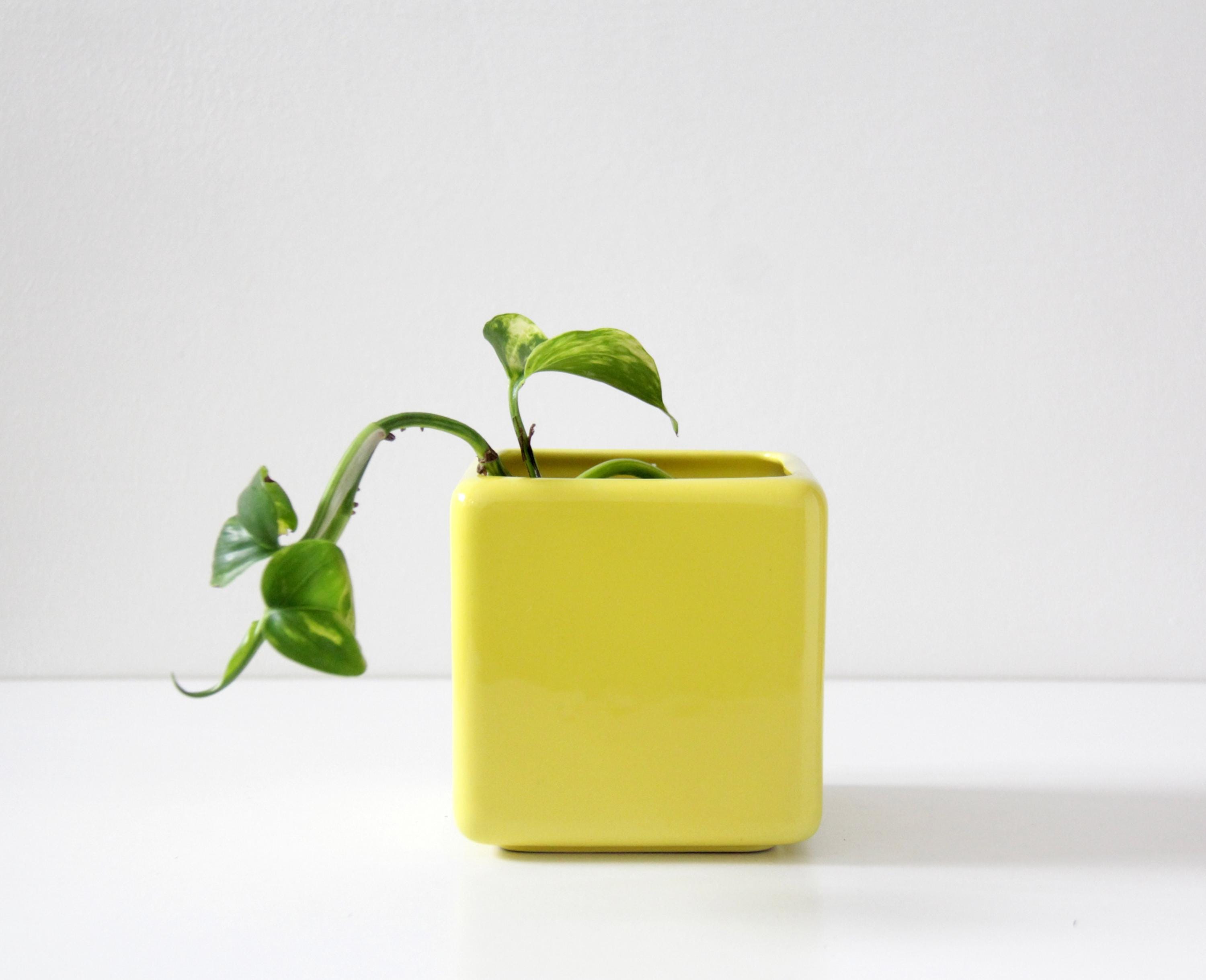 Vaso ASA Florea In Grès Marrone, Altezza 16 Cm, Diametro 8,5 Cm. Perfetto Per Fiori Freschi E Composizioni Secche. Design Elegante. - 2