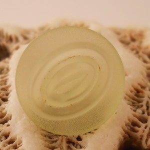 BUTTONS: Small blouse buttons, available in clear or green, matte surface, 1/2 inch size, set of 12 buttons.