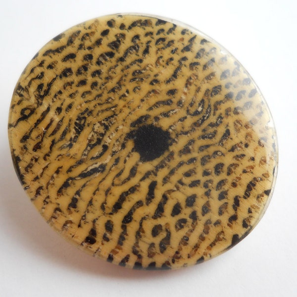 Large Sewing Button - Etsy
