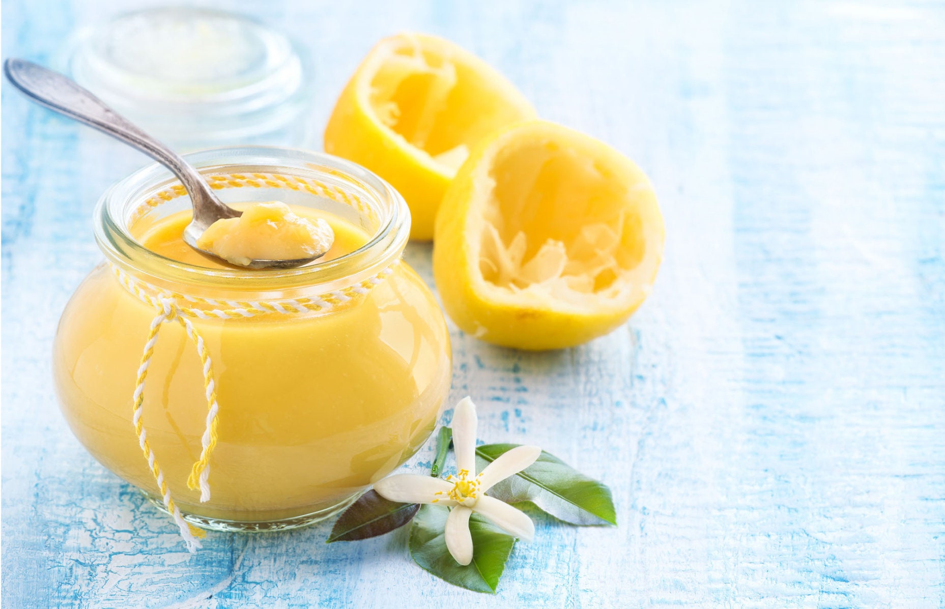 Lemon Curd Body Butter Body Cream Hair Perfume Body - Etsy Lemon Curd Body Butter Body Cream Hair Perfume Body - Etsy