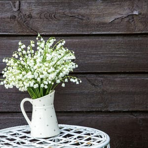 Lily of the Valley - Sassy Modern Floral - Body Butter, Body Cream, Hair Perfume, Body Spray, Body Oil, Perfume, Body Mist