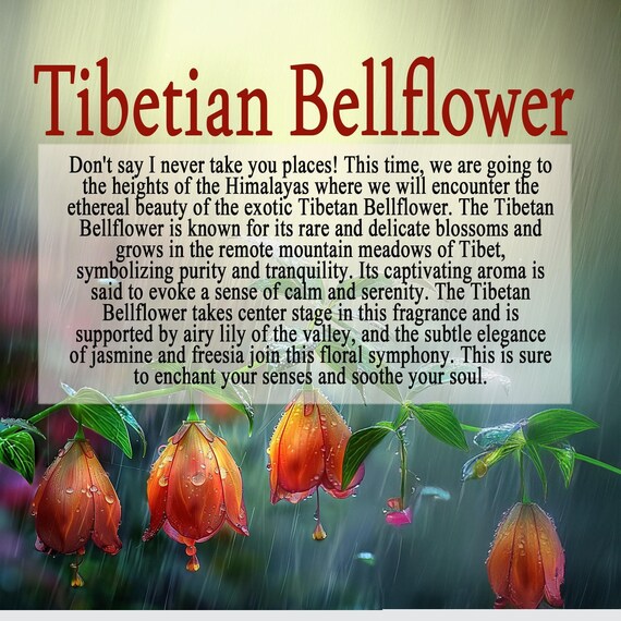 Tibetan Bellflower - Find Your Zen in Every Breath - Perfume, Body Butter, Hair Perfume, Body Spray, Body Oil, Fragrance, Body Mist