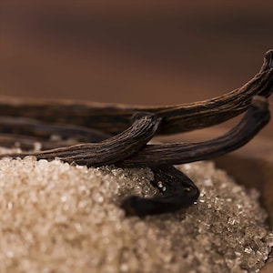 May include: Close-up of brown vanilla beans resting on a bed of coarse, light brown sugar. The beans are dark brown and textured, with a rich, natural appearance. The sugar crystals glisten, creating a contrast with the beans.