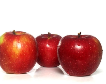 Macintosh Apple - Crisp & Sweet - Perfume